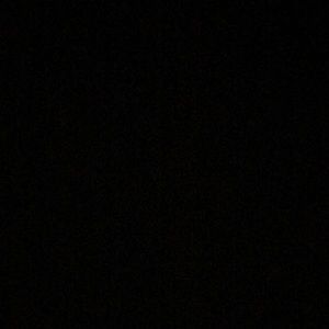 Meet your Posher, Daphnee